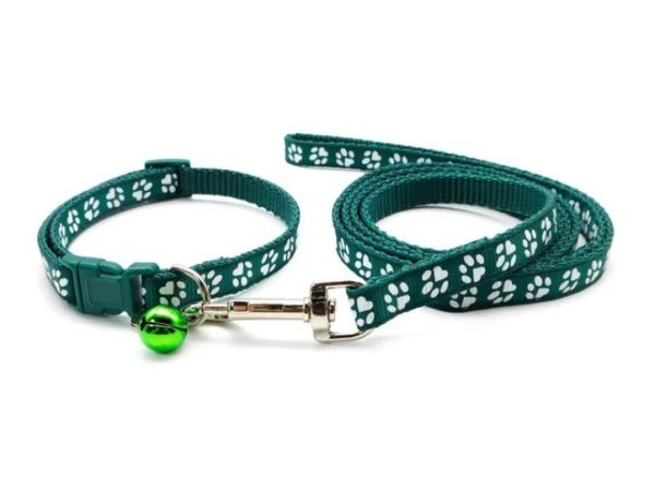 Puppy Collar & Lead (18 Colours) + Free Weight Sheet* - Image 16
