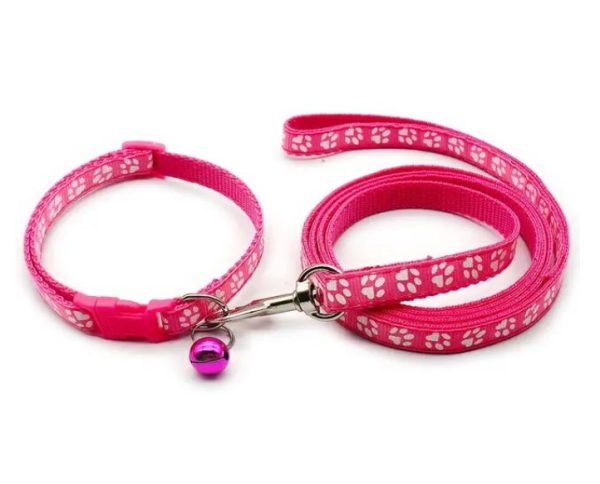 Puppy Collar & Lead (18 Colours) + Free Weight Sheet* - Image 15