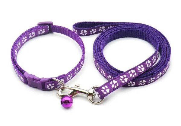 Puppy Collar & Lead (18 Colours) + Free Weight Sheet* - Image 9