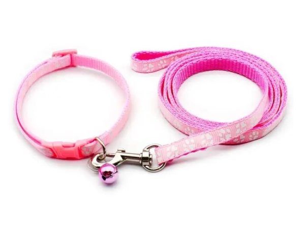 Puppy Collar & Lead (18 Colours) + Free Weight Sheet* - Image 8
