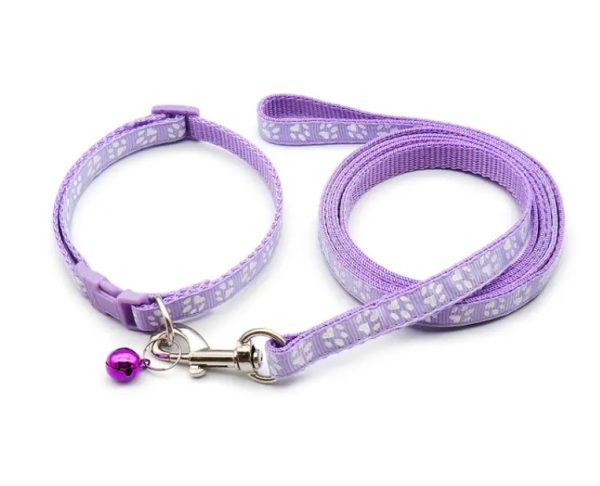 Puppy Collar & Lead (18 Colours) + Free Weight Sheet* - Image 18