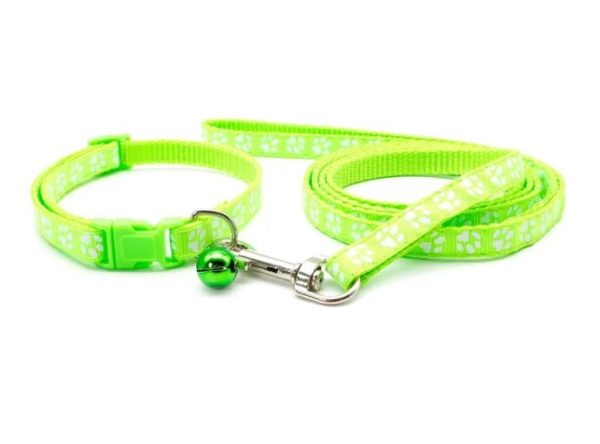 Puppy Collar & Lead (18 Colours) + Free Weight Sheet* - Image 10