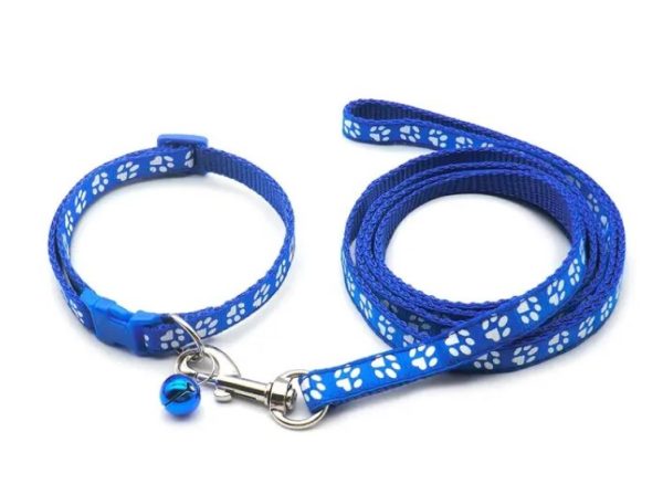 Puppy Collar & Lead (18 Colours) + Free Weight Sheet* - Image 7