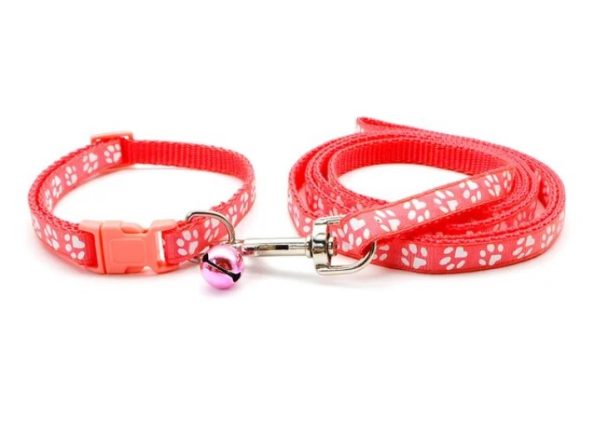 Puppy Collar & Lead (18 Colours) + Free Weight Sheet* - Image 14