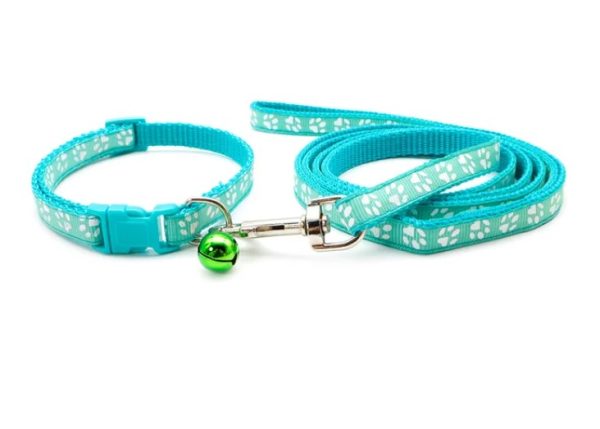 Puppy Collar & Lead (18 Colours) + Free Weight Sheet* - Image 12