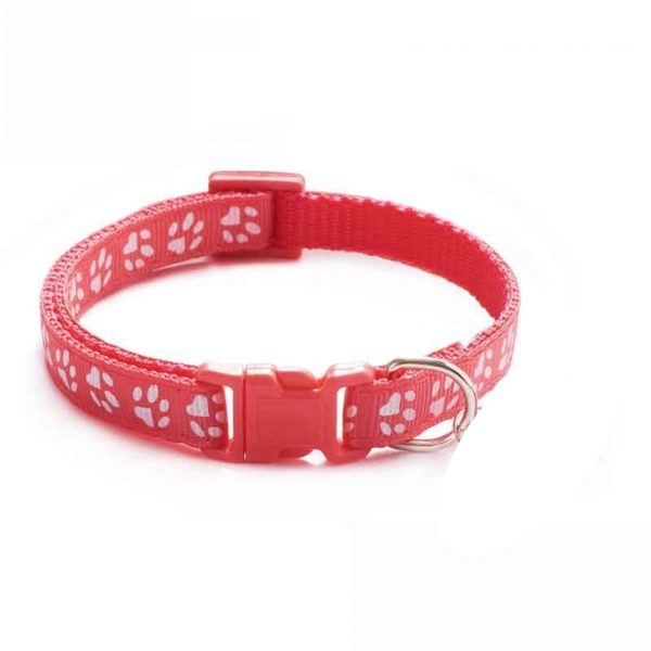 Puppy Collar (19 Colours) + Free Weight Sheet* - Image 5