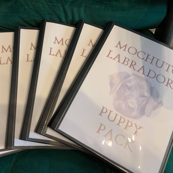 Puppy Owner Pack