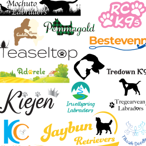Simple Logo Design