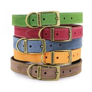 Timberwolf Leather Collar (5 Colours)