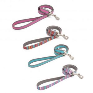 Striped 'Made From' Leads (from recycled plastic bottles)