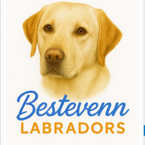 2026 Bestevenn Calendar