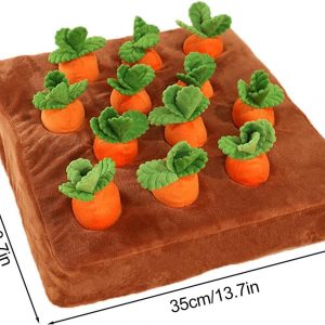 Carrot Patch Hide & Seek Brain Training Game