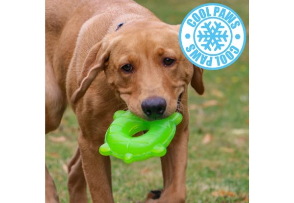 Cooling Toys - Image 2