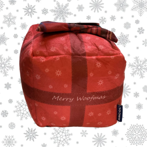 Large Christmas Present