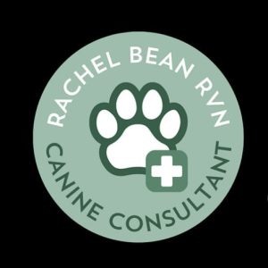 iPET Network Level 3 Award (Qualification) in Canine Emergency First Aid -18th October 2024