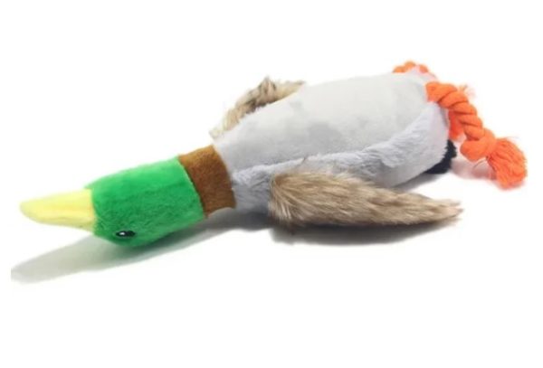 Small Duck Toy - Image 3