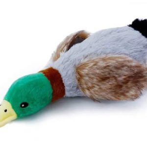 Small Duck Toy