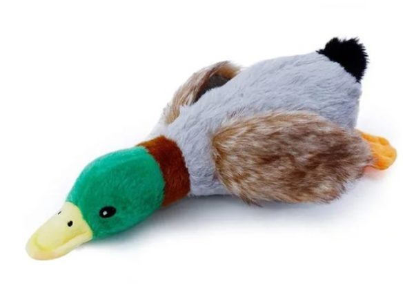 Small Duck Toy