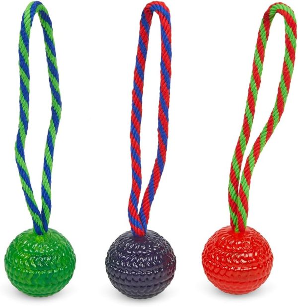Petface Ball on a Rope