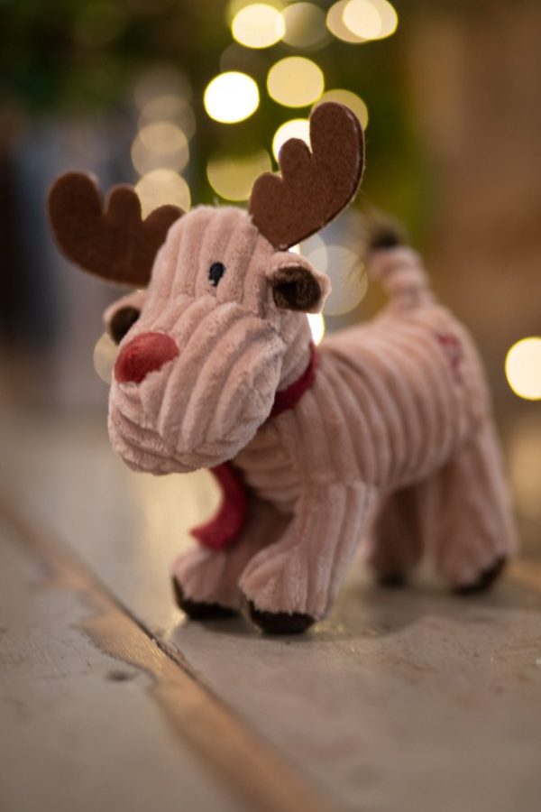 Petface Christmas Cord Reindeer - Image 5
